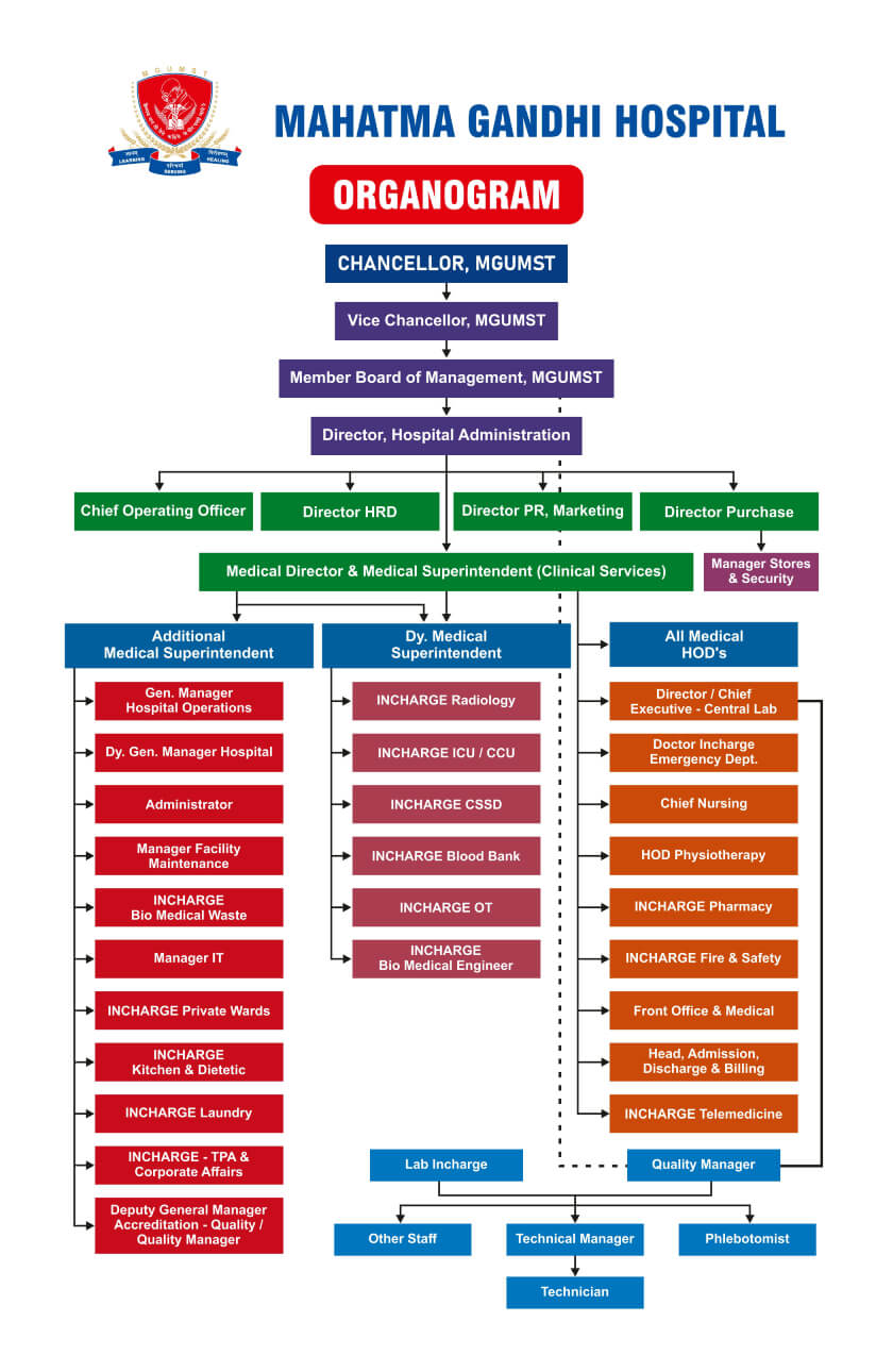 organogram